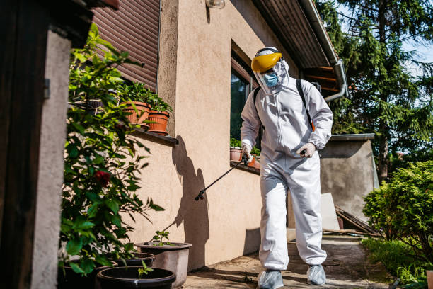 Best Pest Prevention Services  in Maple Plain, MN