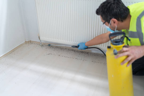 Best Affordable Pest Control Services  in Maple Plain, MN